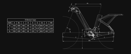 Bianchi E-Omnia C Type - Belt Drive - Nexus 5v - Bosch Performance CX - 625wh geo
