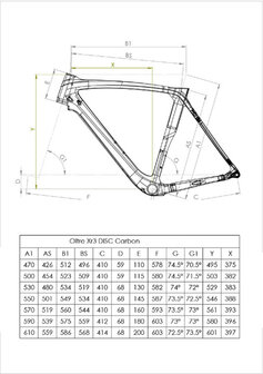 Bianchi Oltre XR3 Disc Shimano Ultegra 11sp 