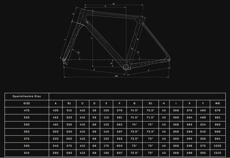 &#039;Bianchi Specialissima Disc CV Super Record EPS 12sp geo