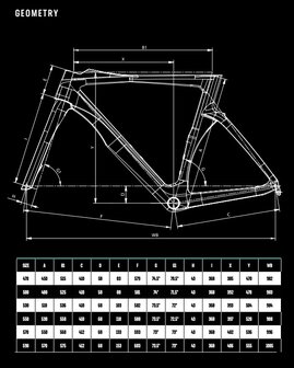 Bianchi Oltre Pro Disc Shimano Ultegra Di2 12sp  geo