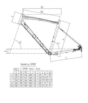 Geomtrie Bianchi C-Sport 2  Acera