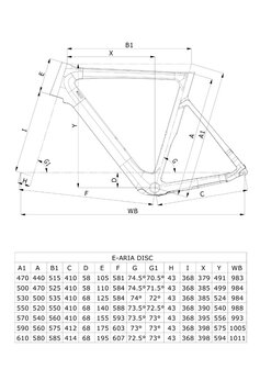 Geomterie Bianchi Aria E-Road Ebikemotion Ultegra