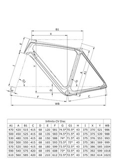 Geomtrie Bianchi Infinito CV Disc - Ultegra 11sp Compact