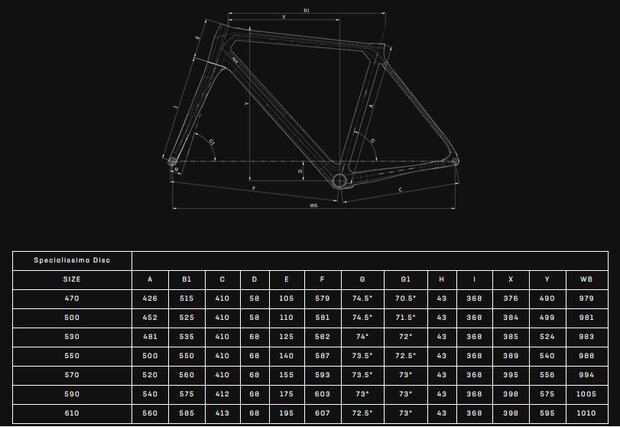 'Bianchi Specialissima Disc CV Super Record EPS 12sp geo